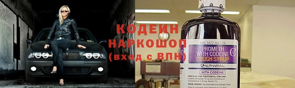 амф Ветлуга