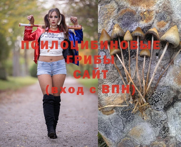 кокаин премиум Заводоуковск