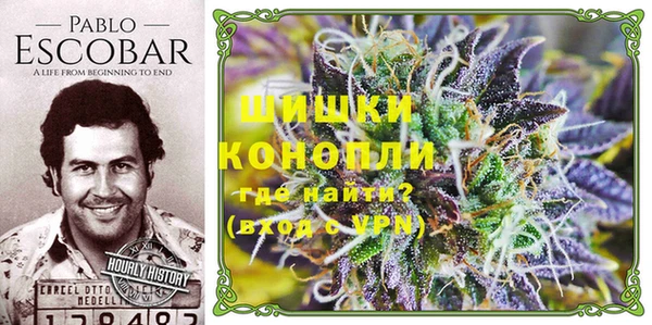 гашик Елизово