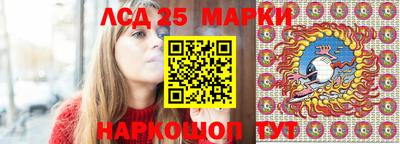 гидра Вязники