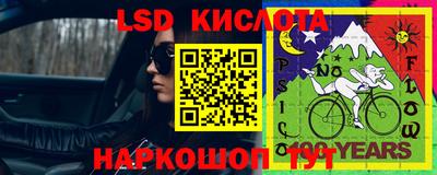 стафф Вязьма