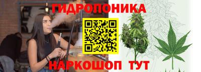 гидра Вязники