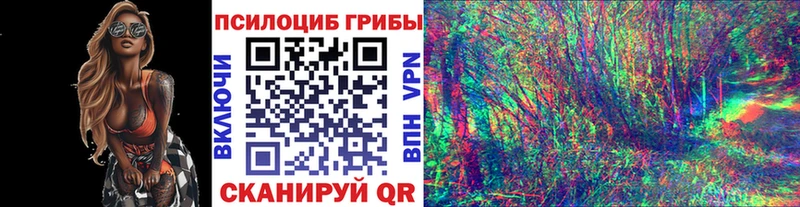 Галлюциногенные грибы Cubensis  Искитим 