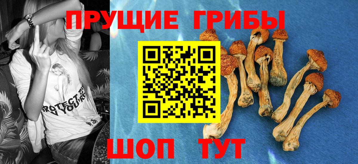что такое   Вход с VPN  Искитим  Галлюциногенные грибы прущие грибы 