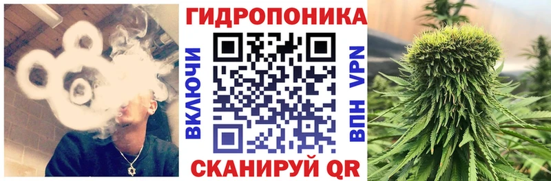 где купить   Искитим  Шишки марихуана SATIVA & INDICA 